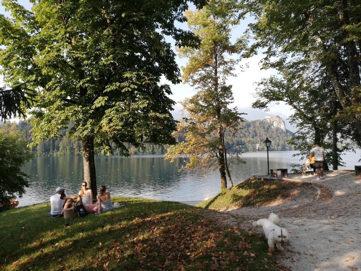 Tree Apartamento Bled Exterior foto
