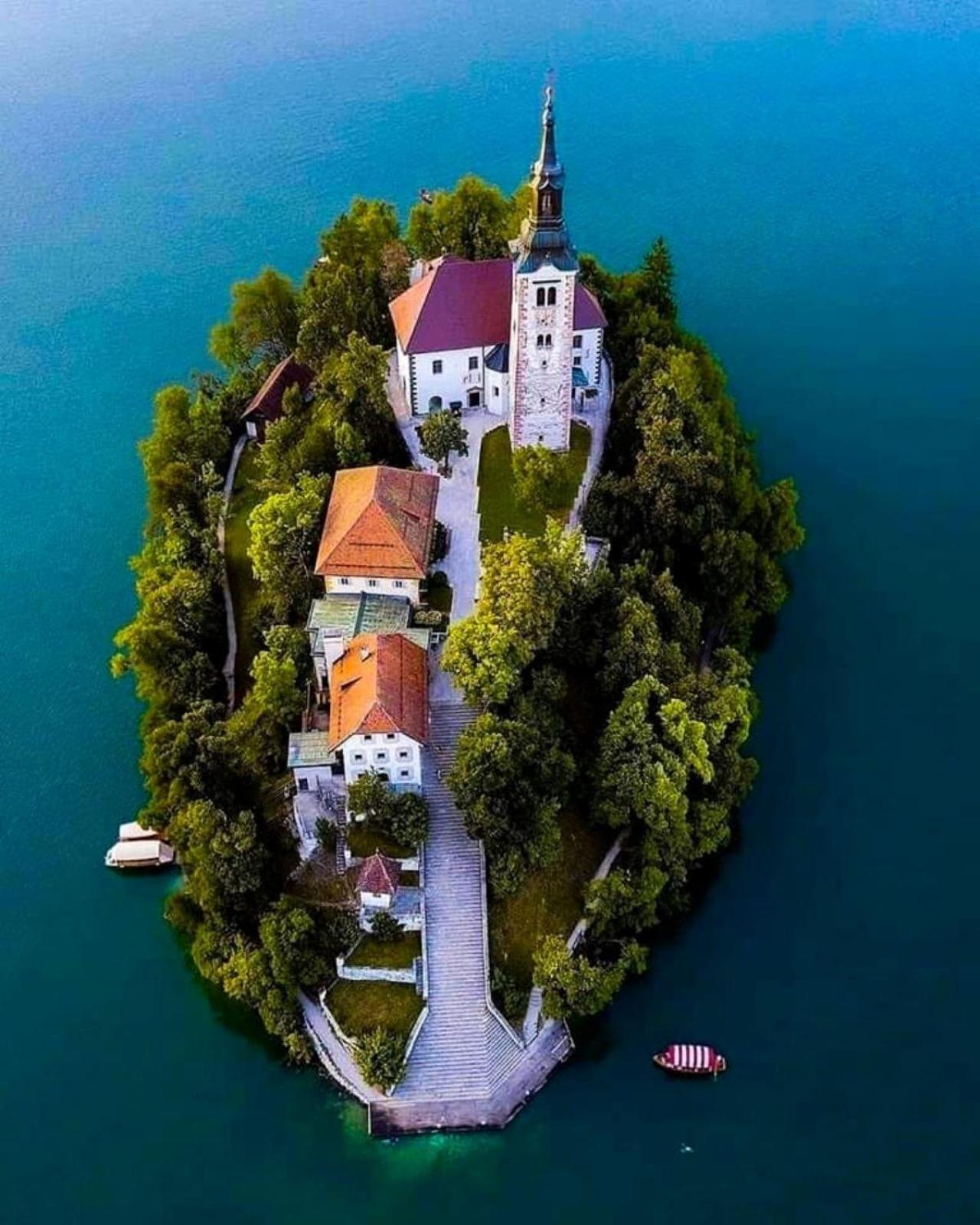 Tree Apartamento Bled Exterior foto
